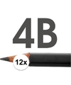 12x 4B potloden voor professioneel gebruik