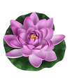 1x Lila paarse waterlelie kunstbloemen vijverdecoratie 18 cm