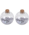 2x Kerstballen transparant-wit 8 cm met witte sterren kunststof kerstboom versiering-decoratie