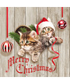 Ambiente kerst thema servetten 20x st 33 x 33 cm poezen-katten print