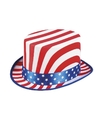Amerikaanse feest thema hoed