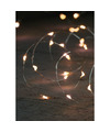 Anna Collection lichtdraad zilver met 20 leds warm wit 100 cm