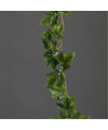 Chaks Klimop kunstplant slinger 180 cm groen