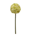 Emerald Allium-Sierui kunstbloem losse steel wit-groen 75 cm Natuurlijke uitstraling