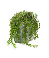 Emerald Kunstplant Senecio-erwtenplant groen in pot 27 cm hangplant