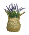 Everlands Lavendel kunstplant in rieten mand lila paars D16 x H27 cm