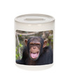 Foto chimpansee spaarpot 9 cm Cadeau apen liefhebber