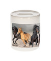 Foto paard spaarpot 9 cm Cadeau paarden liefhebber