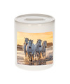 Foto wit paard spaarpot 9 cm Cadeau paarden liefhebber