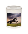 Foto zwart paard spaarpot 9 cm Cadeau paarden liefhebber