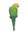 Groen tuindecoratie beeld ara papegaai vogel 31 cm