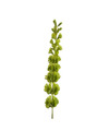 Groene Molucella kunstplant takken 80 cm