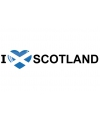 Landen vlag sticker I Love Scotland 19.6 cm