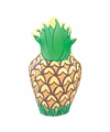 Opblaasbaar fruit ananas