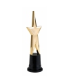 Star award goud 22 cm