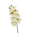 Witte Phaleanopsis vlinderorchidee kunstbloemen 70 cm decoratie