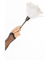 Witte veren plumeau Carnaval verkleed artikelen Dienstmeisje accessoires